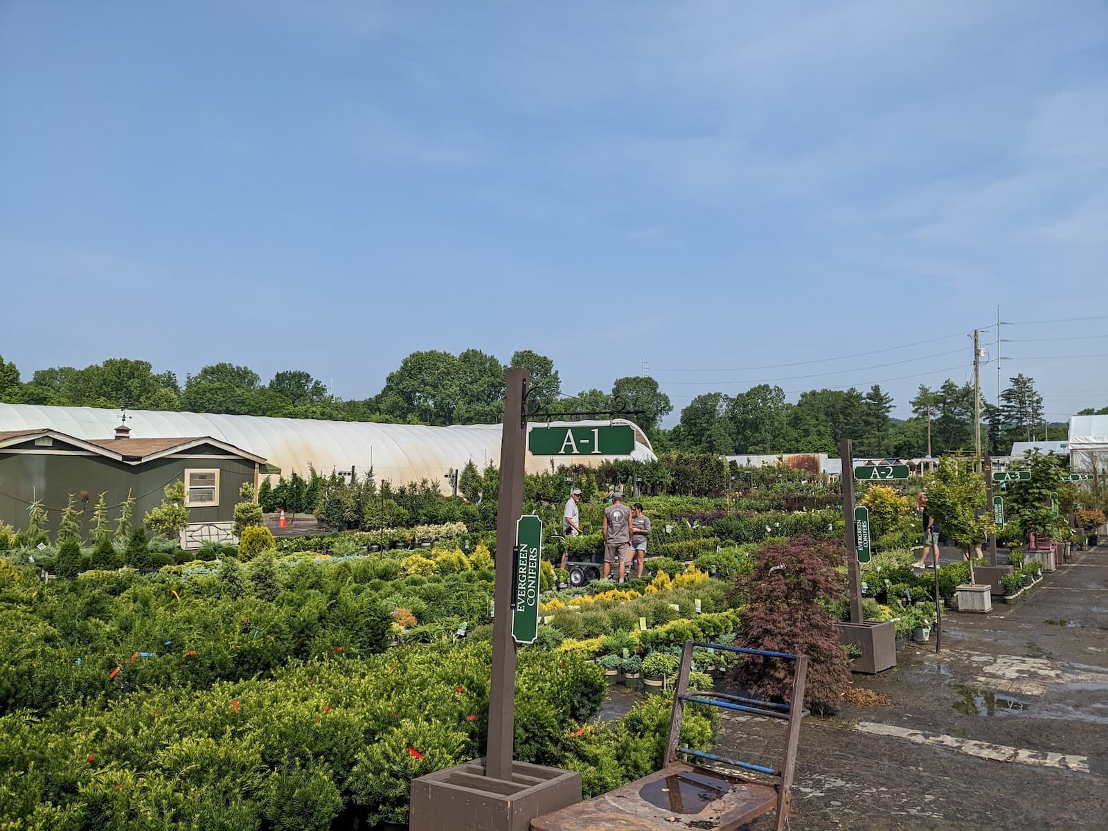 People choosing plants outdoors