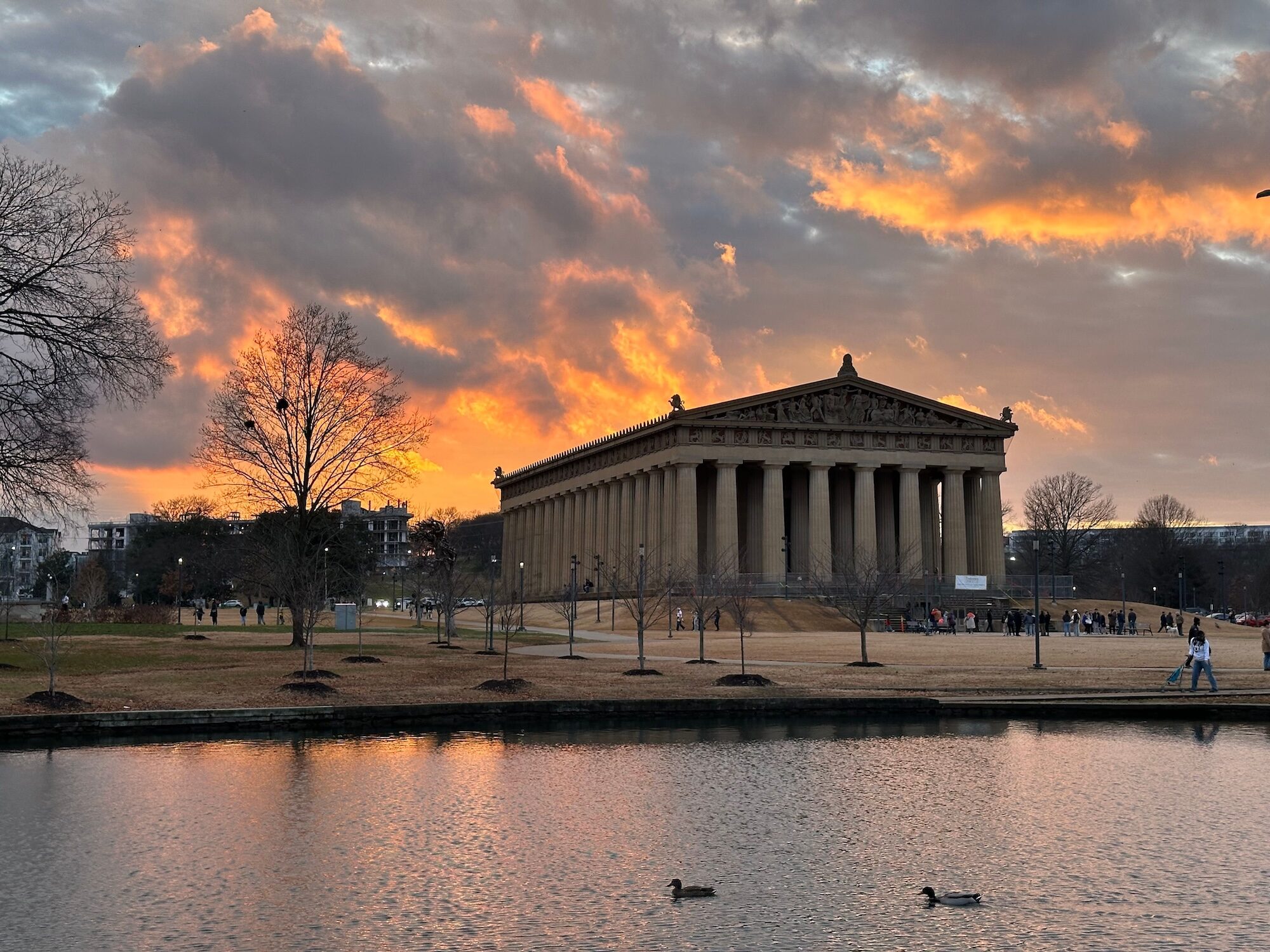 Centennial Park sunset and ducks