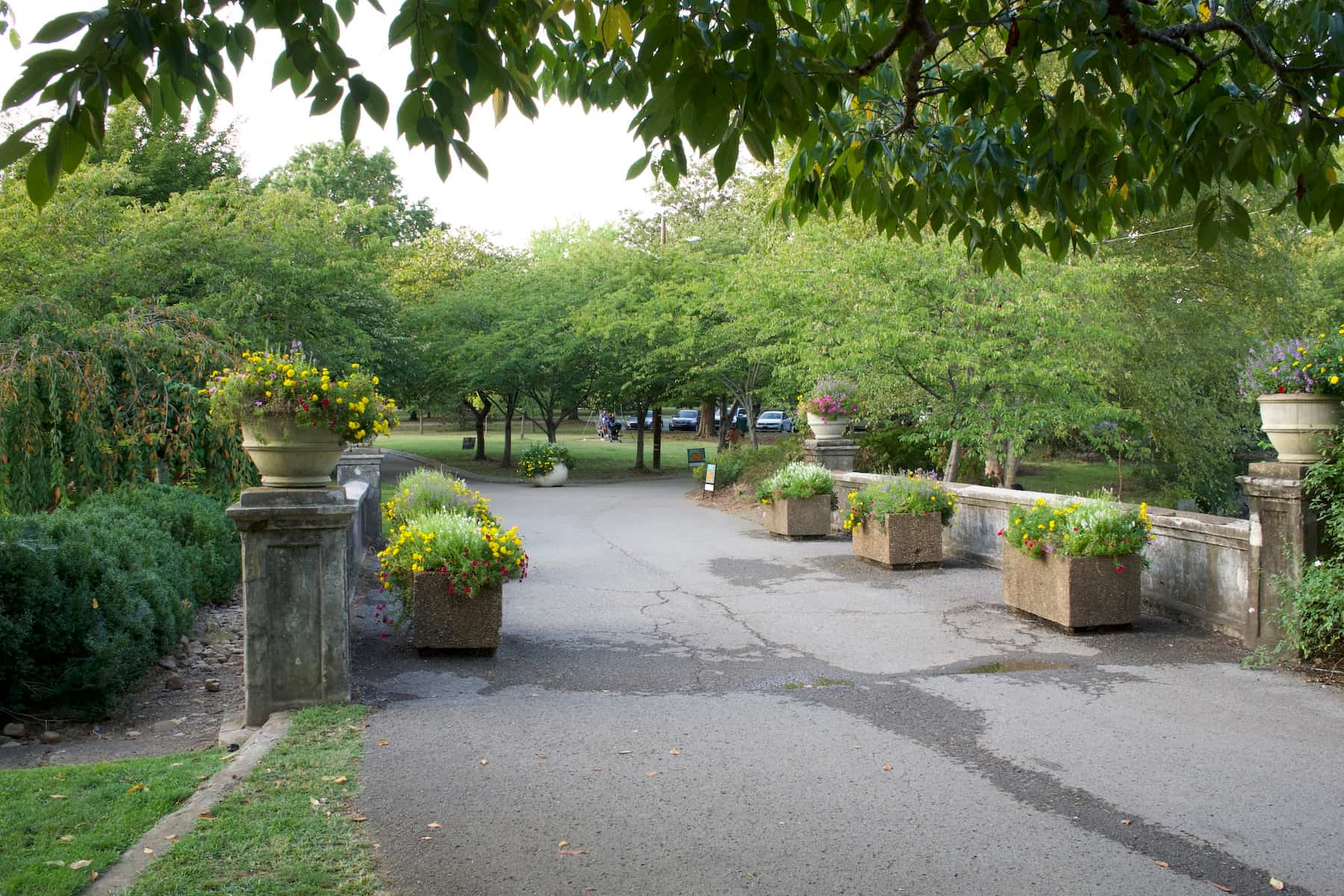 Flowers lining a concrete path