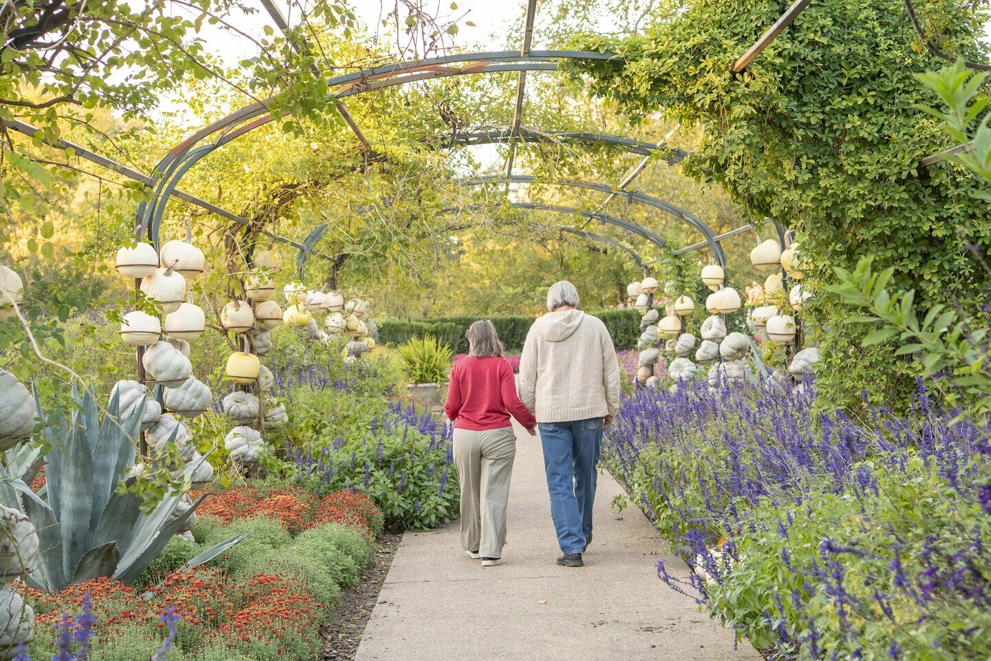 A couple walking a beautiful path