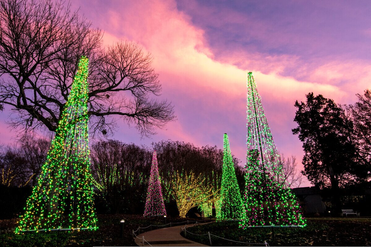 Sunset and Christmas lights