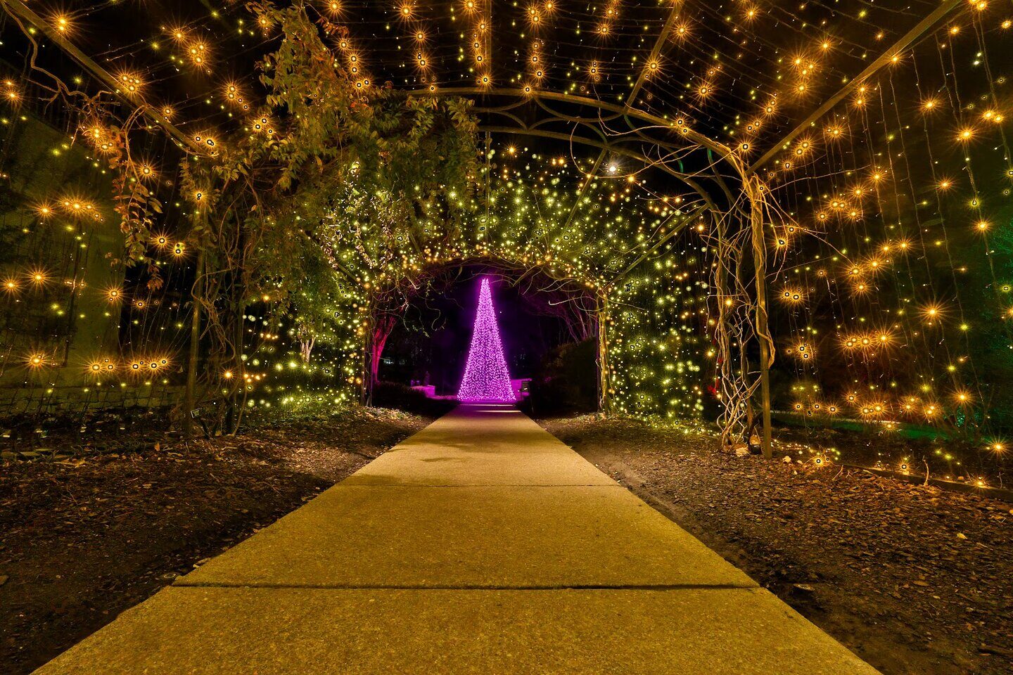 Cheekwood path lights