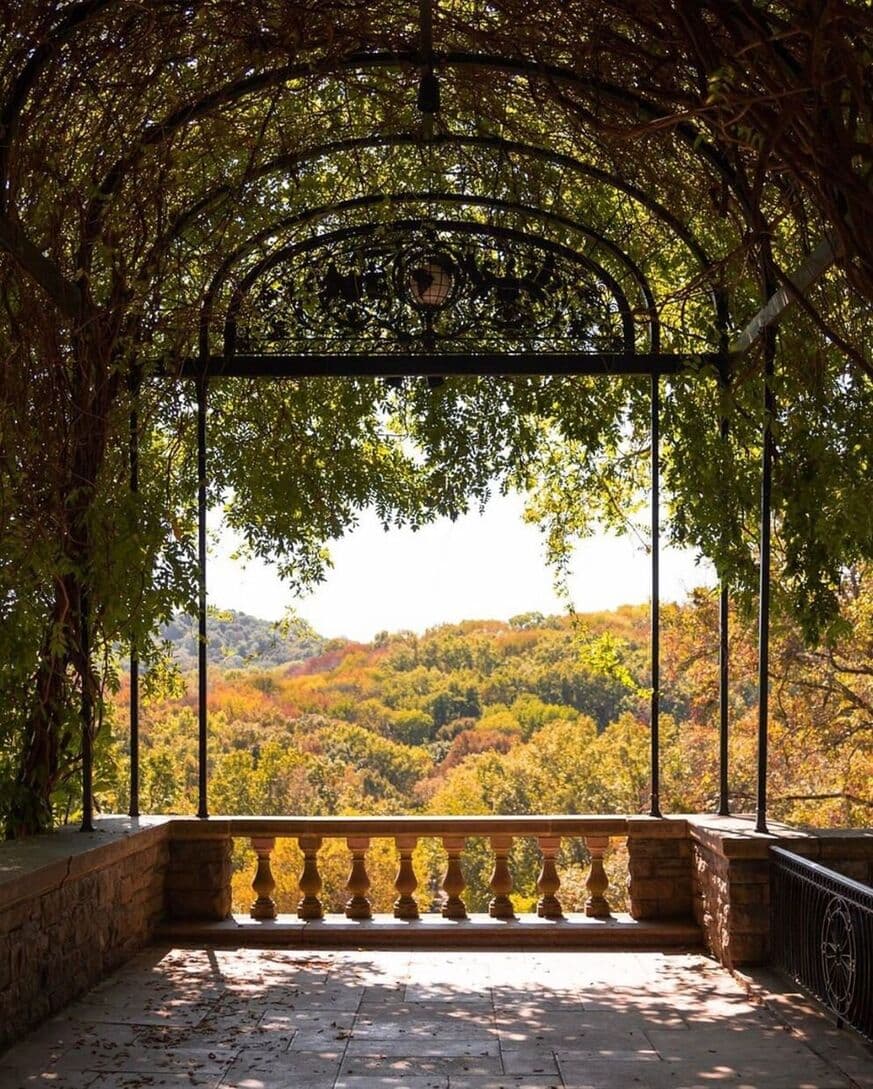The view off Cheekwood's patio in the fall