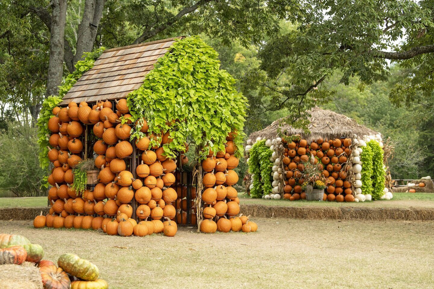 Cheekwood's famous pumpkin house