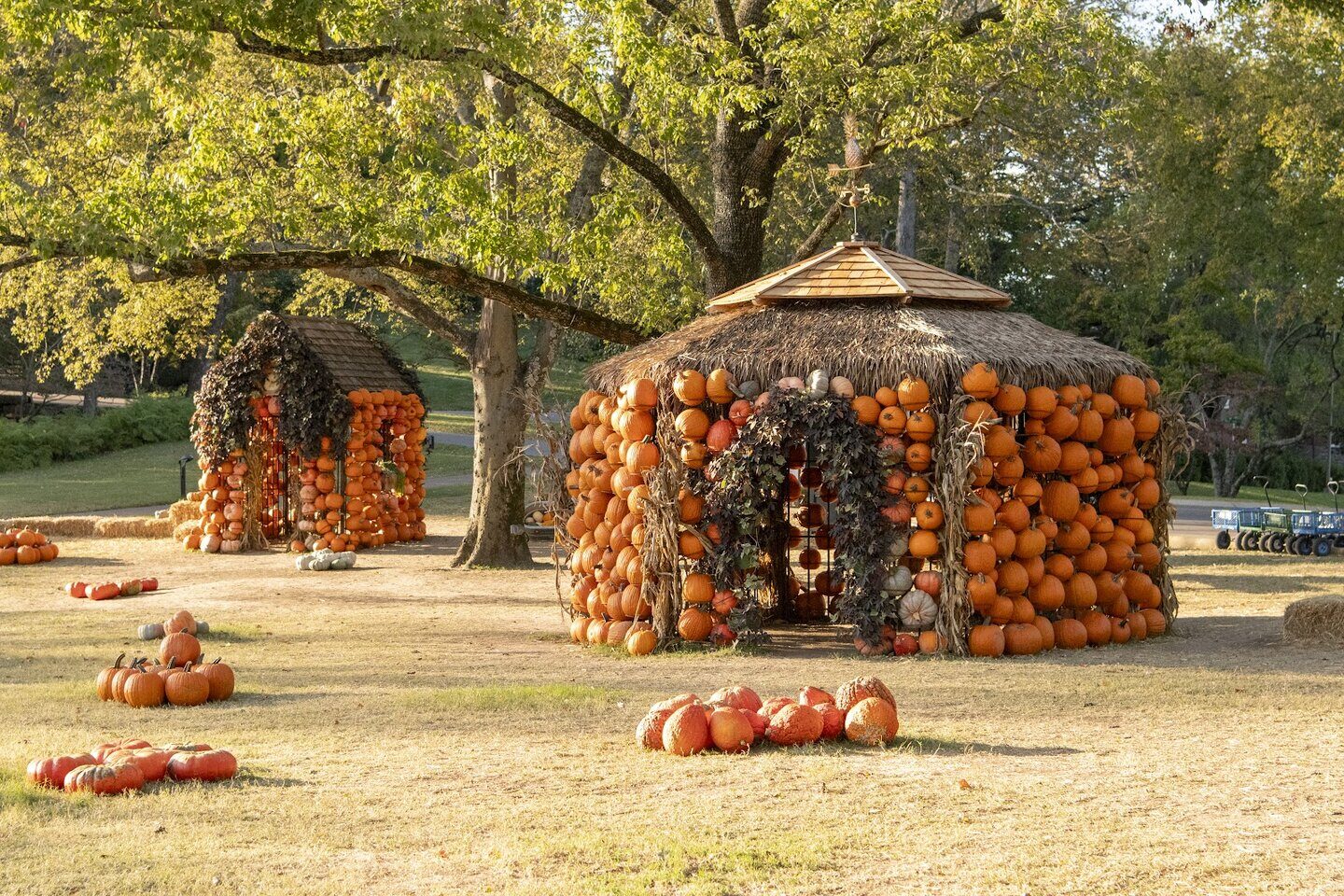 Pumpkin houses