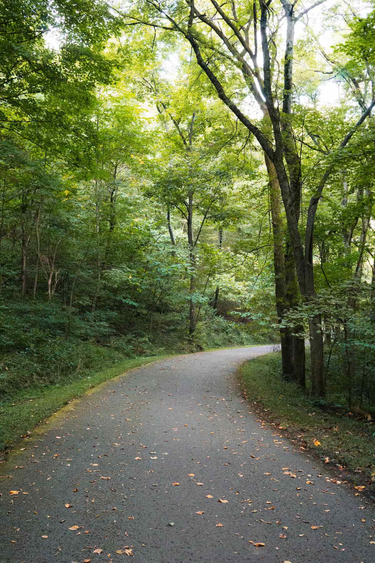 A curvy trail at Edwin Warner Park