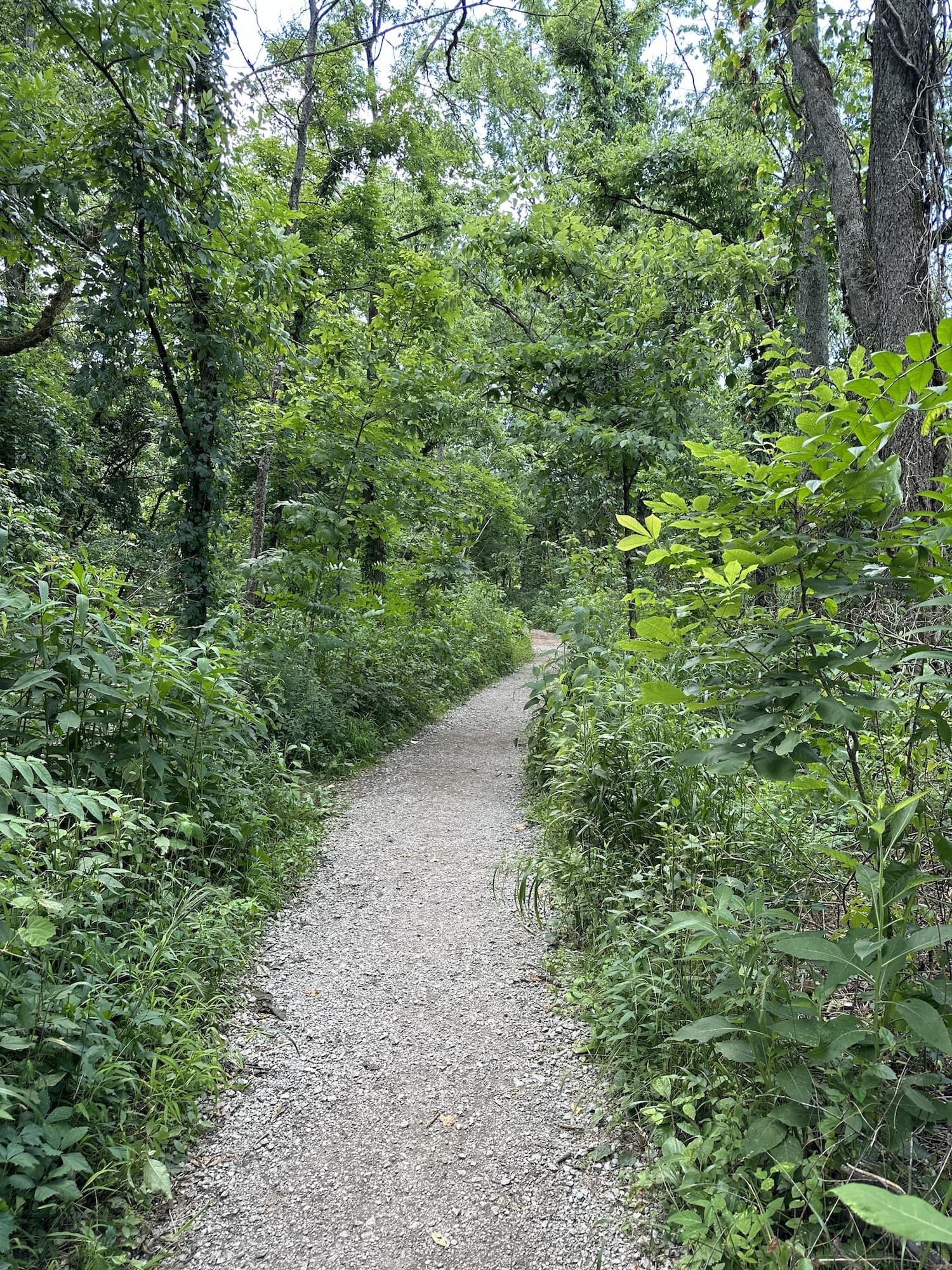 A gravel path at a park