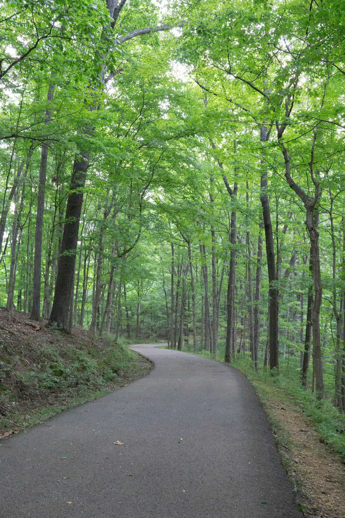 Edwin Warner trail through some trees