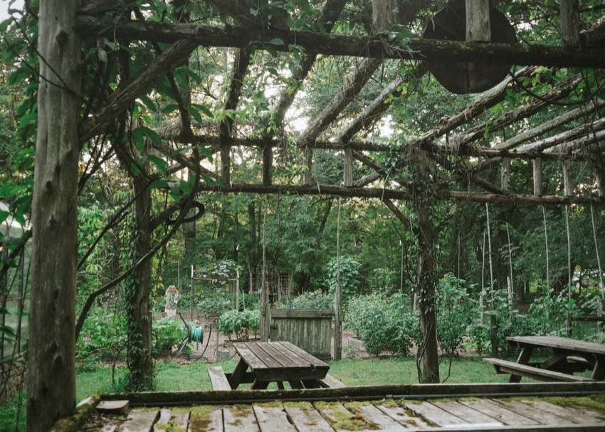 Edwin Warner Park nature center