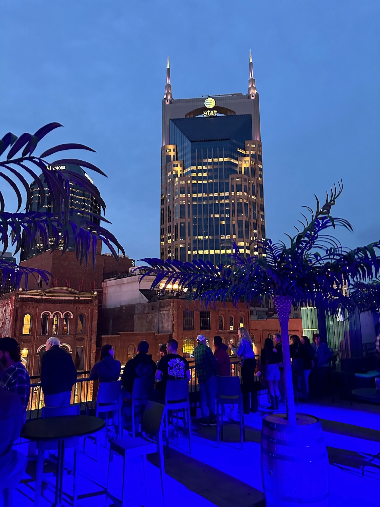 A tropical themed rooftop and the Batman Building