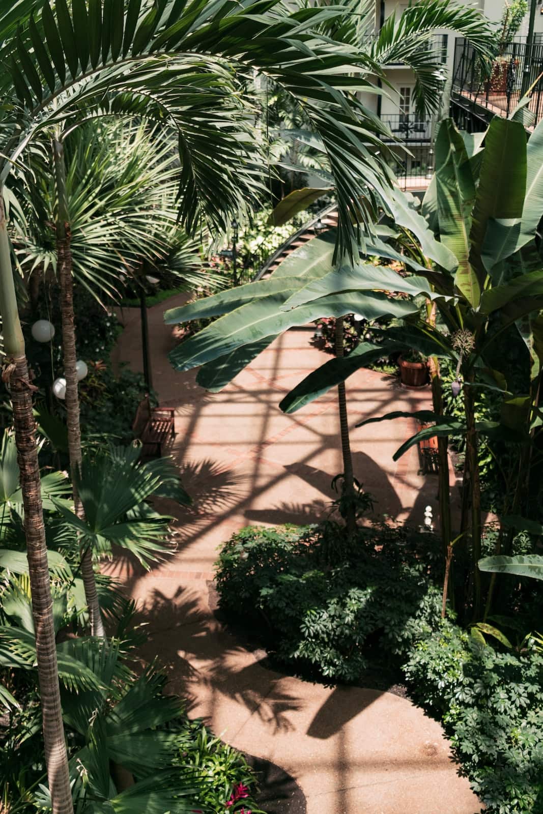 Beautiful shaded path