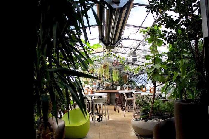 Greenhouse Bar through plants