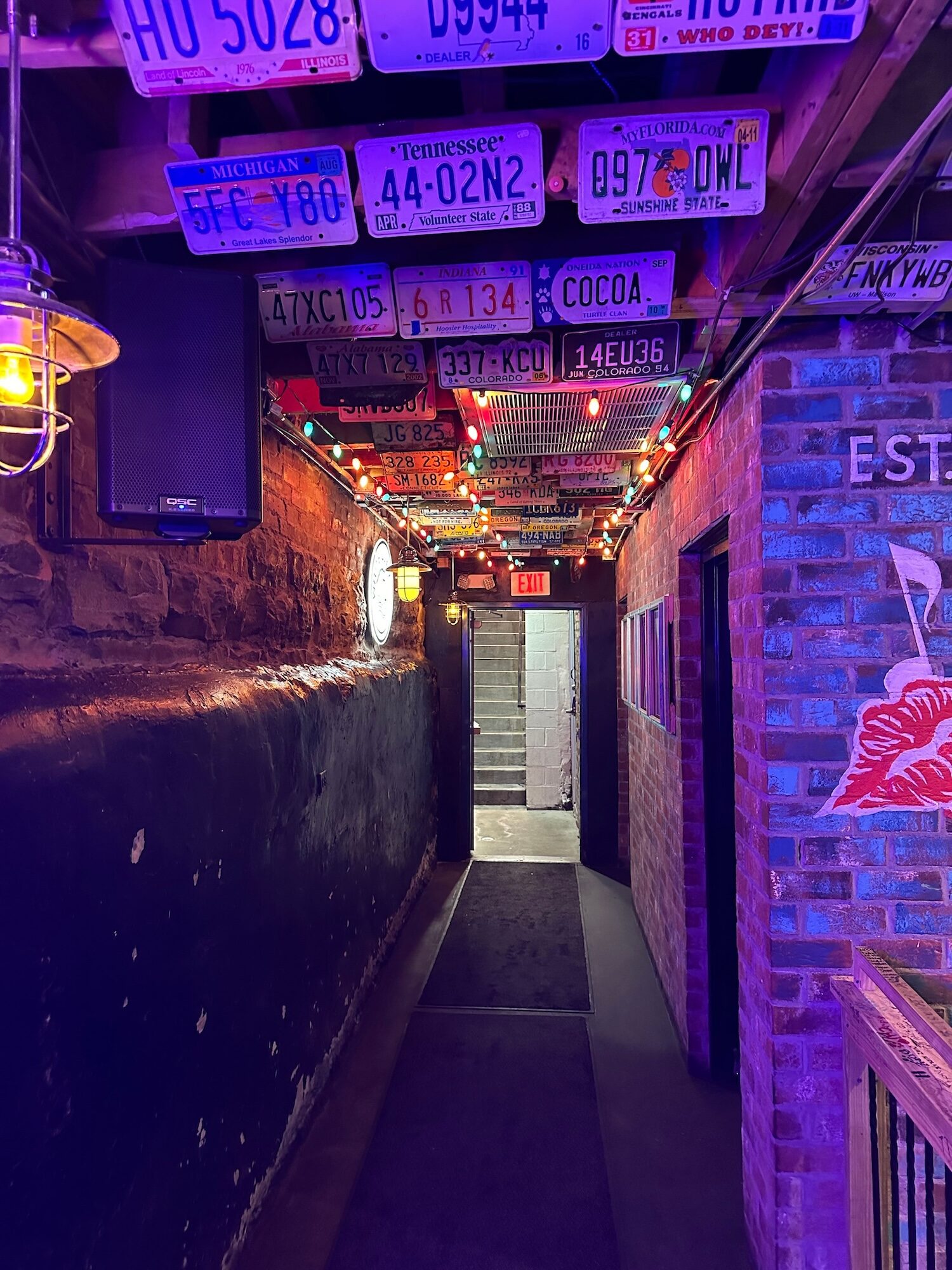 License plates hang from the ceiling in a hallway