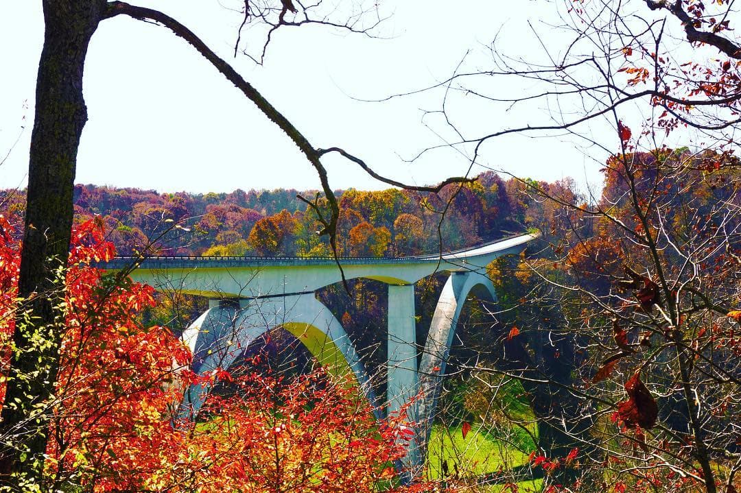 Natchez Trace bridge in the fall through trees
