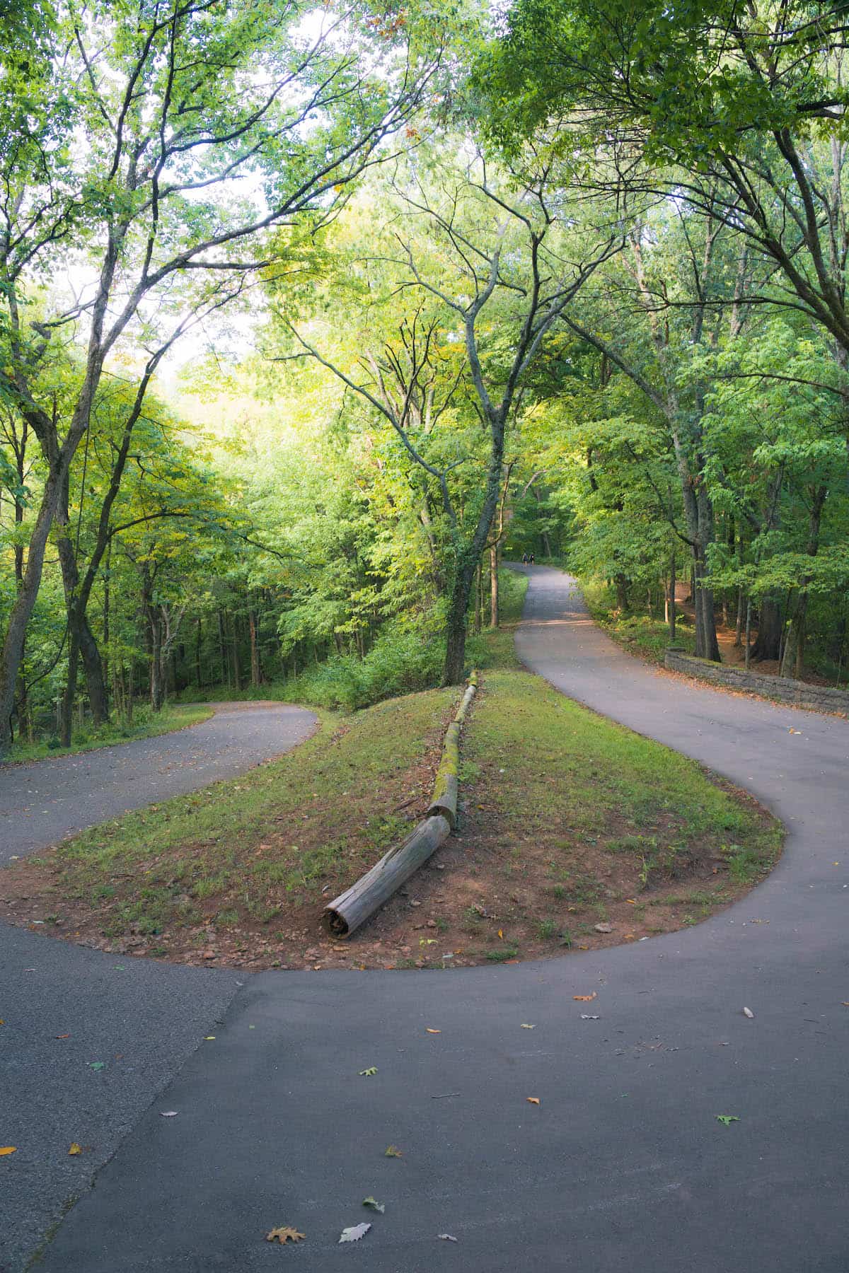 A curvy paved trail at Percy Warner Park
