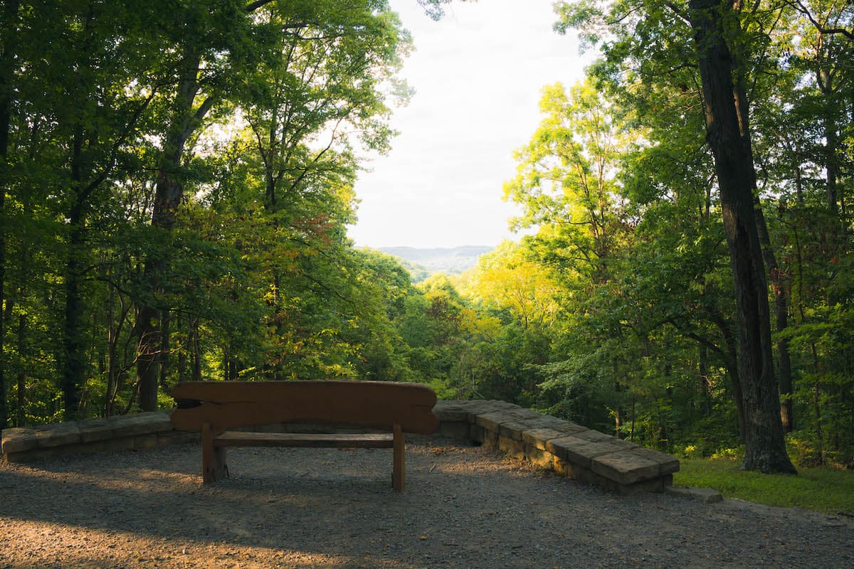 Bench overlook at Percy Warner Park
