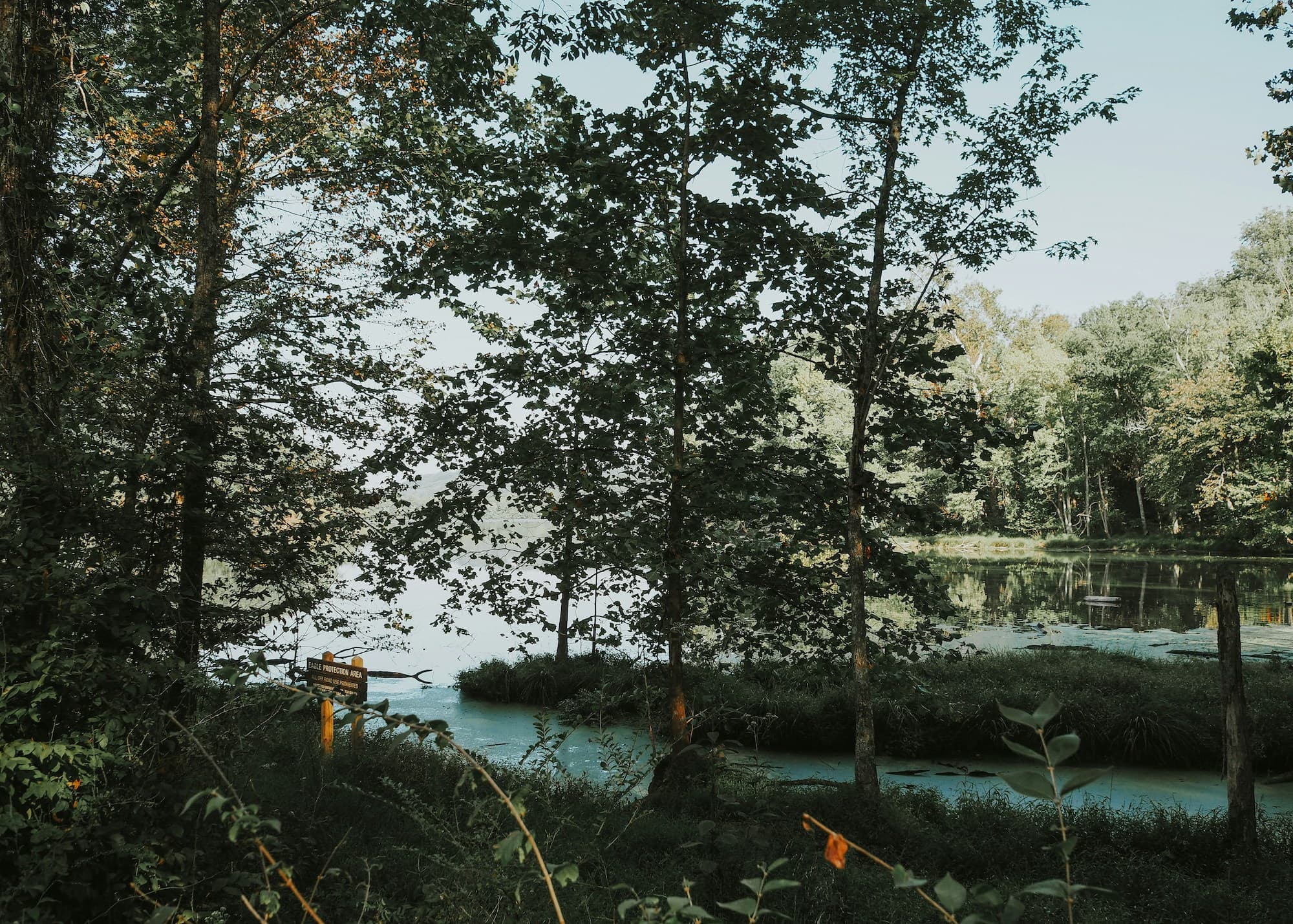 Otter Creek Road