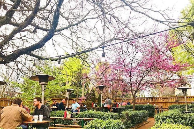 The pharmacy beer garden